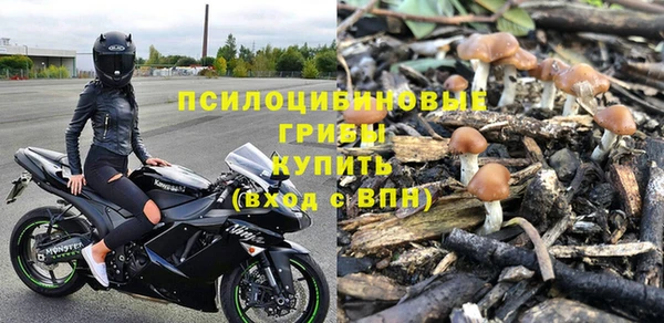 меф Бородино