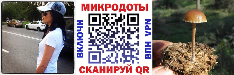что такое наркотик  Искитим  Псилоцибиновые грибы мицелий 
